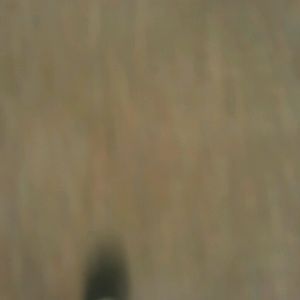 Meet your Posher, Alan