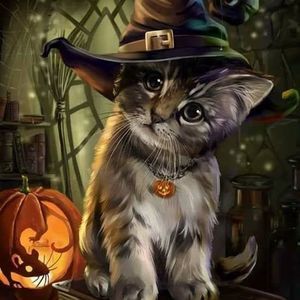 Meet your Posher, Rosa