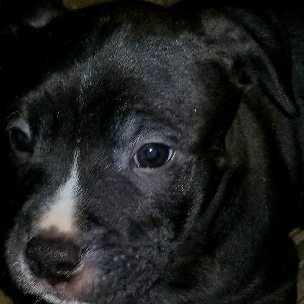 Meet your Posher, Crystal