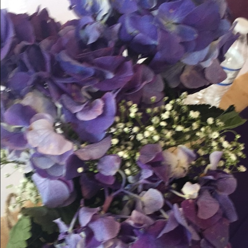 Meet your Posher, Francine