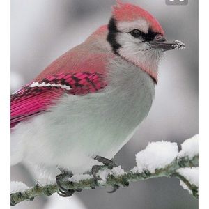 Meet your Posher, Gene