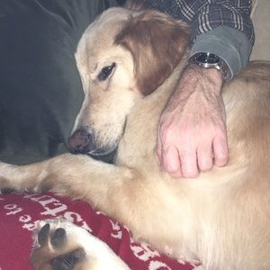 Meet your Posher, Suzie