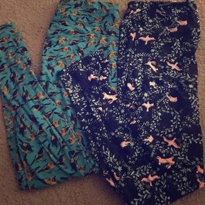 Pair of LuLaRoe leggings - bird and bunnies