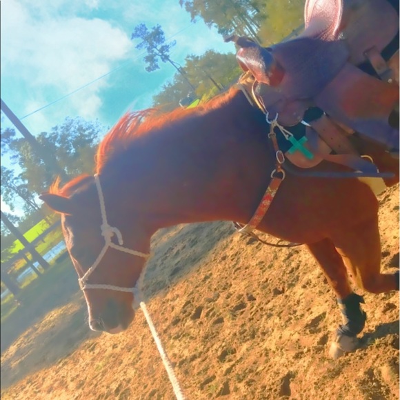 Meet your Posher, Kylee - Picture 1 of 1