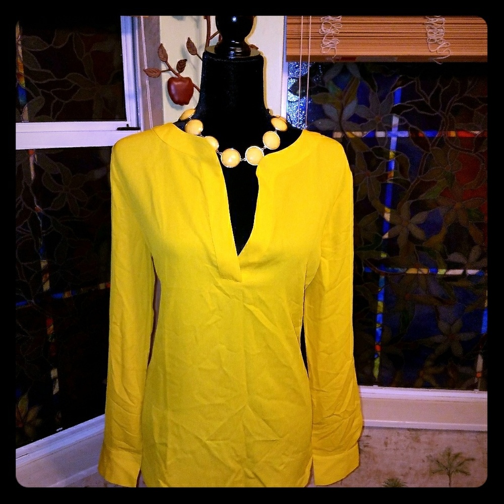 ANN TAYLOR TUNIC