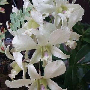 Meet your Posher, Marisol