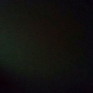 Meet your Posher, Irma