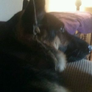 Meet your Posher, Deirdre