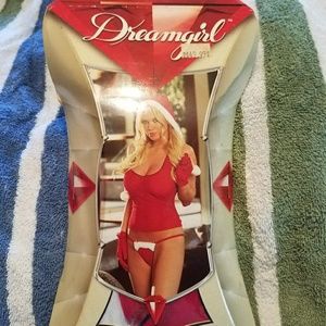 Dream girl Sexy Santa sleep wear