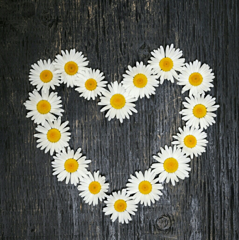 Meet your Posher, Nickola