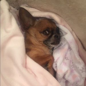 Meet your Posher, Liza