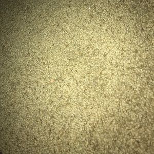 Meet your Posher, Stacie