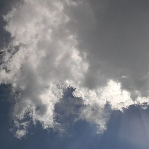 Meet your Posher, Krista