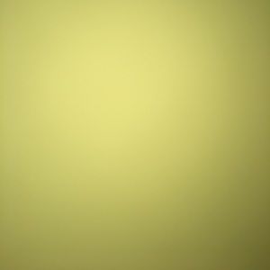 Meet your Posher, Bryson