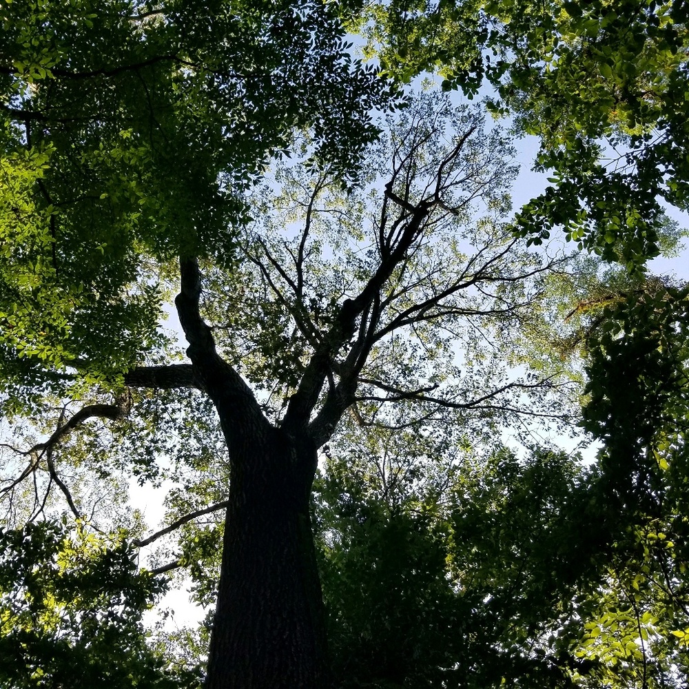 Meet your Posher, Sheridan