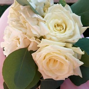 Meet your Posher, Cassandra