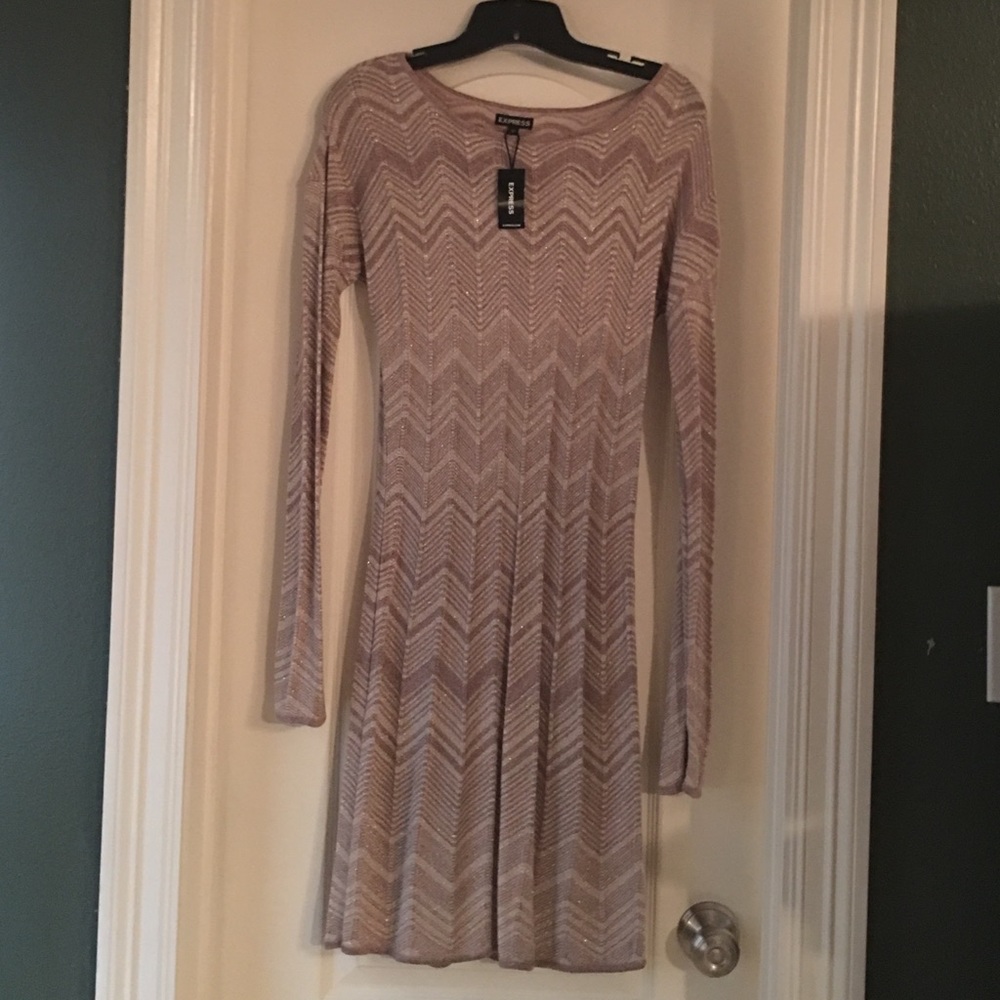 Express sweater dress