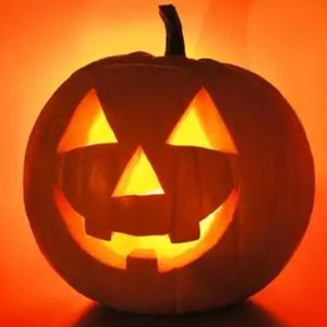 Meet your Posher, Annie