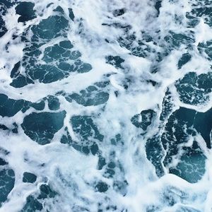 Meet your Posher, Mohammed