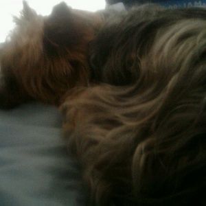 Meet your Posher, Cindy