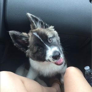 Meet your Posher, Bri