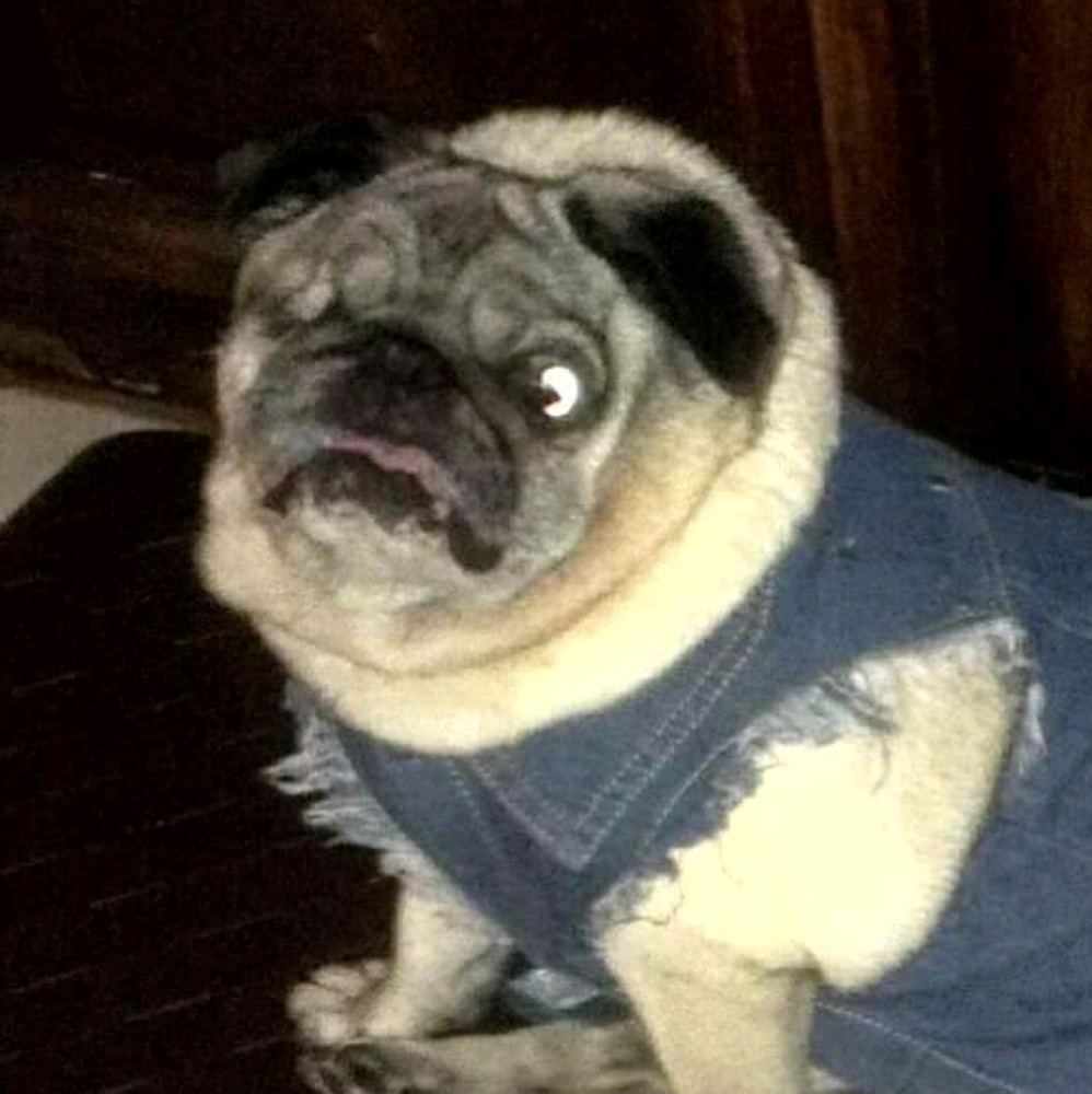 Meet your Posher, Maria