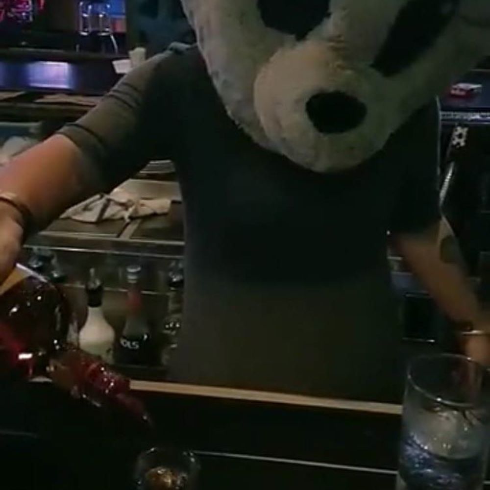 Meet your Posher, Karlie