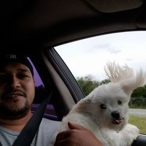 Meet your Posher, Daniel