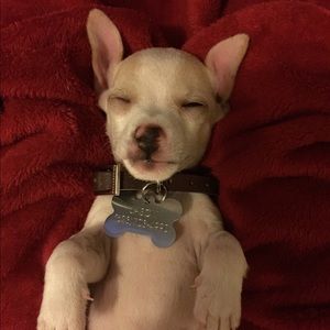 Meet your Posher, Berenice