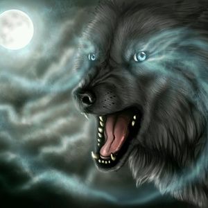 Meet your Posher, Bryan