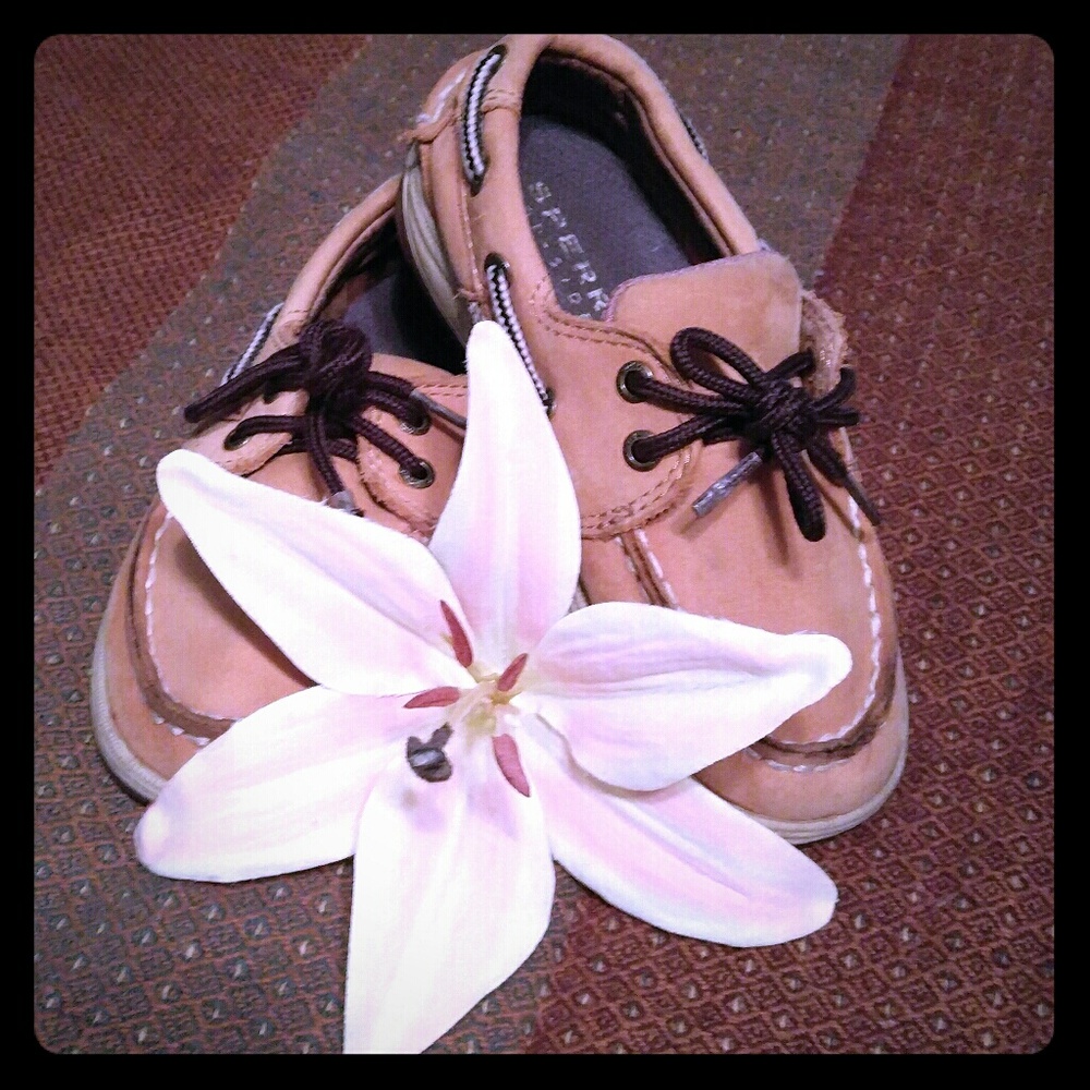 Boys sperry shoes.