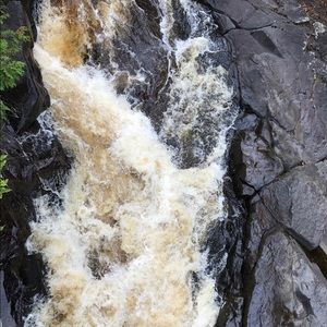 Meet your Posher, Tracie