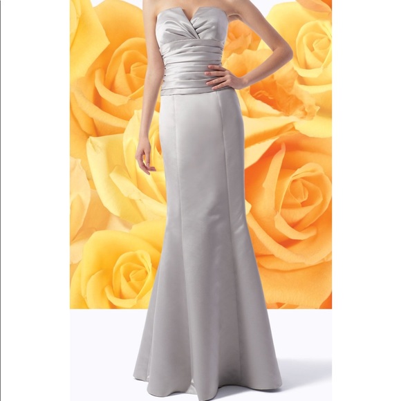 Light grey Gown - Picture 1 of 5