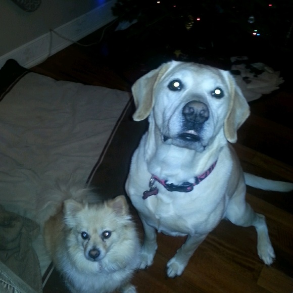 Meet your Posher, Stacy - Picture 2 of 2