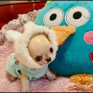 Meet your Posher, Ornela