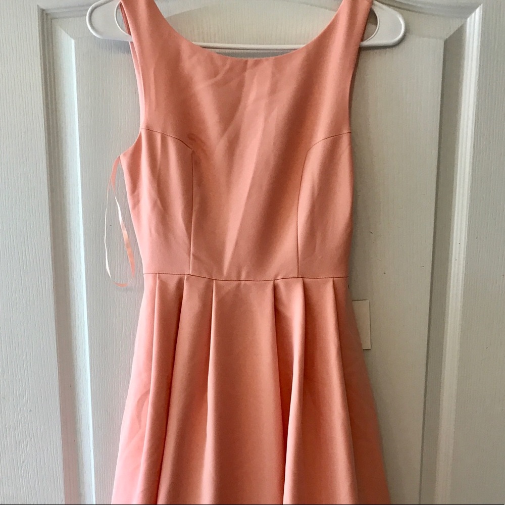 GORGEOUS LuLu’s Oink Dress