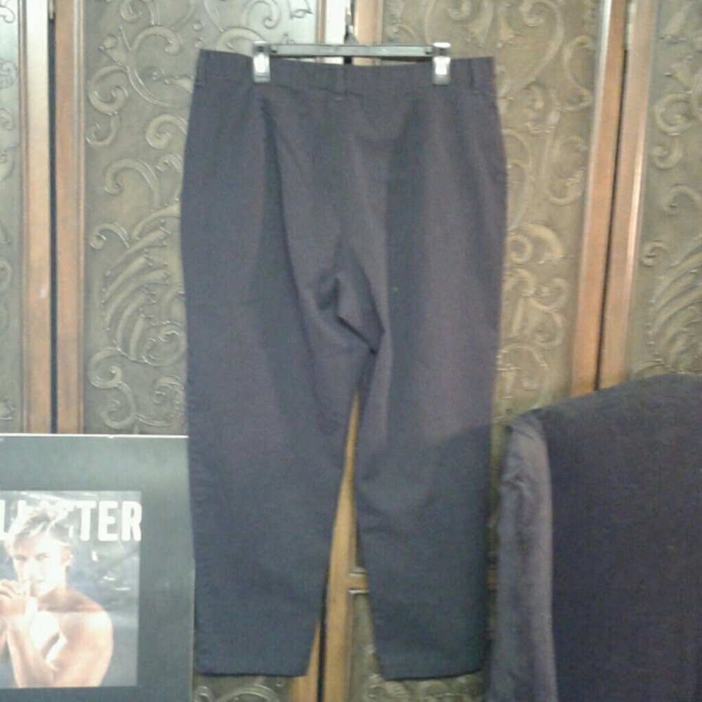 Stretch Riders pants - Picture 2 of 4
