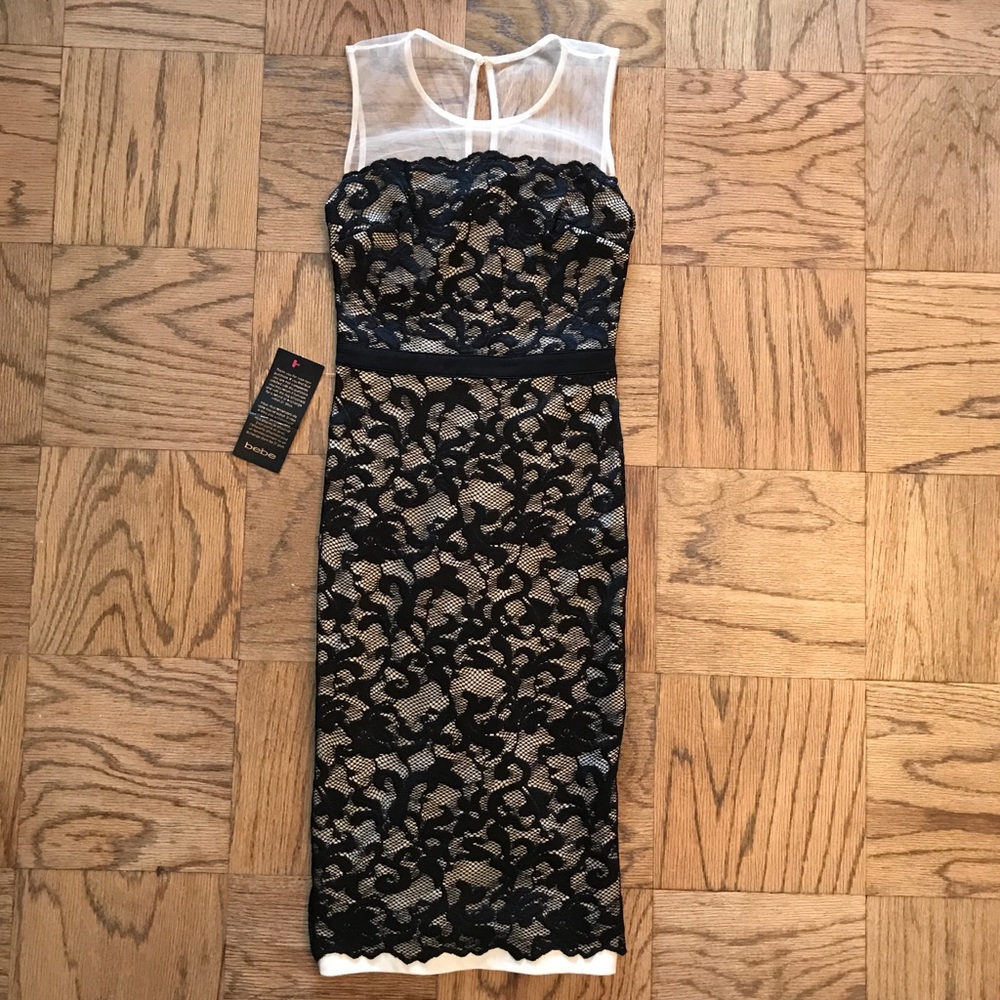 Bebe lace midi cocktail dress