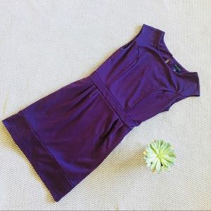 Banana Republic • Purple Dress • Size 0