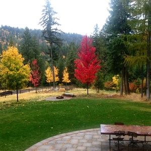 Meet your Posher, Lola