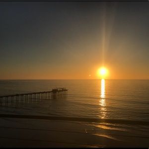 Meet your Posher, Alli