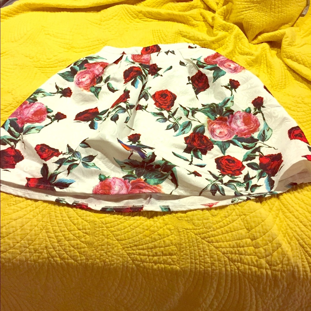 White full circle skirt with roses and blue birds!
