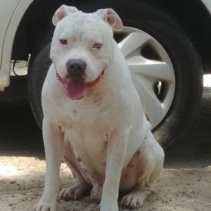 Meet your Posher, Josiah