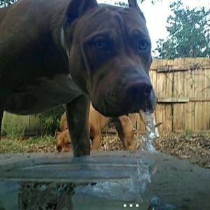 Meet your Posher, Jimmy