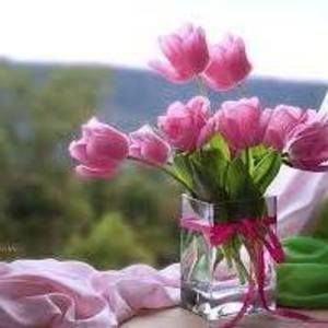 Meet your Posher, Sharifa