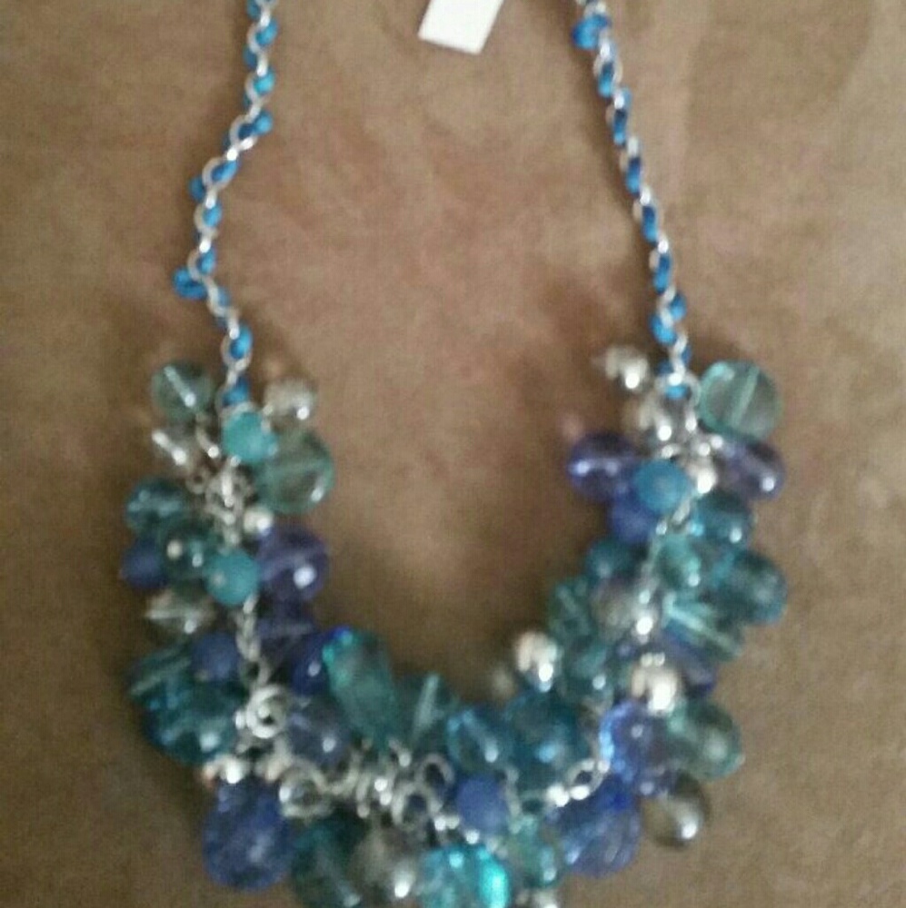 Multi color of blue necklace. Nwt