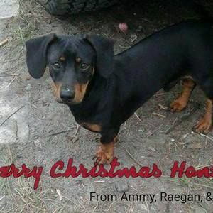 Meet your Posher, Shane