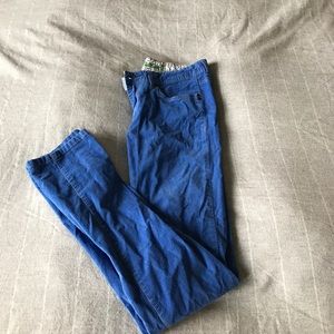 Blue corduroy pants