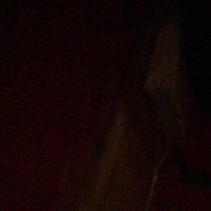 Meet your Posher, Geri