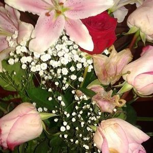 Meet your Posher, Teresa